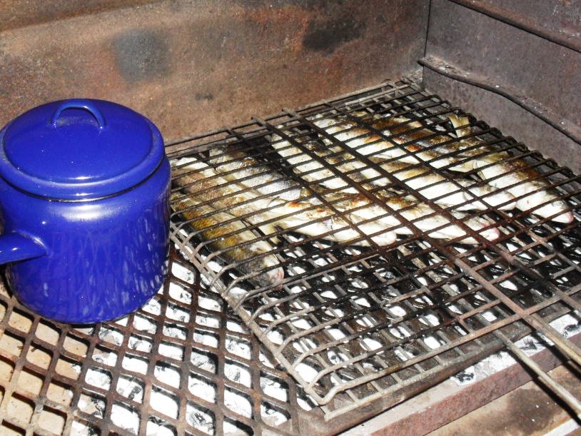harders braaiing