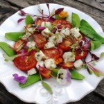 Hot haloumi salad